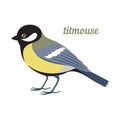 Vector illustration of titmouse. Royalty Free Stock Photo