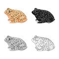 Vector illustration of toad and tropical logo. Set of toad and points vector icon for stock. Royalty Free Stock Photo