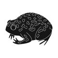 Vector illustration of toad and tropical sign. Set of toad and green stock symbol for web. Royalty Free Stock Photo