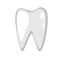 A single isolated tooth with root on a white background Royalty Free Stock Photo
