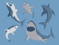 Vector illustration toothy swimming angry shark animal sea fish character underwater cute marine wildlife mascot. Royalty Free Stock Photo