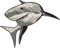 Vector illustration: toothy white shark Royalty Free Stock Photo