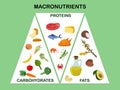 Vector illustration on the topic of the main groups of products - macronutrients. Proteins, fats and carbohydrates