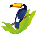 Vector Illustration Of Toucan Sits In Foliage