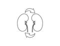 Transplant kidney icon. Vector illustration.