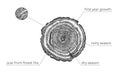 Tree age growth conditions diagram