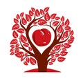 Vector illustration of tree with branches in the shape of heart