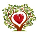 Vector illustration of tree with branches in the shape of heart Royalty Free Stock Photo