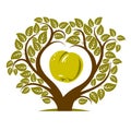 Vector illustration of tree with branches in the shape of heart Royalty Free Stock Photo