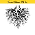 vector illustration of a tree root system in black lines on white background Royalty Free Stock Photo