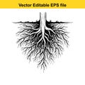 vector illustration of tree roots in black and white on white background Royalty Free Stock Photo