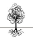 Vector illustration of tree silhouette with root. Eps10