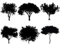 Vector illustration of tree silhouettes Royalty Free Stock Photo