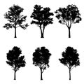 Vector illustration of tree silhouettes Royalty Free Stock Photo