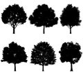 Vector illustration of tree silhouettes Royalty Free Stock Photo