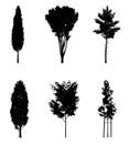 Vector illustration of tree silhouettes Royalty Free Stock Photo