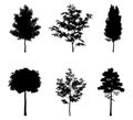 Vector illustration of tree silhouettes Royalty Free Stock Photo
