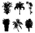 Vector illustration of tree silhouettes