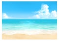 Vector illustration of tropical beach in daytime