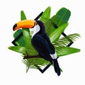 Vector illustration with tropical leaves and bird toucan on a branch