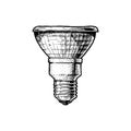 Vector illustration of tungsten halogen lamp