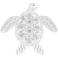 Vector illustration of turtle doodle, anti-stress coloring