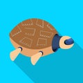 Vector design of turtle and robotic logo. Collection of turtle and shell stock symbol for web.