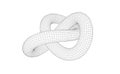 Vector illustration of twisted torus knot with wire mesh