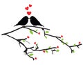 Birds kissing on a branch, vector illustration