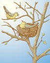 Vector illustration of two birds in their nest in spring forest Royalty Free Stock Photo