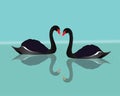 A vector illustration of two black swans swimming in the water Royalty Free Stock Photo