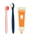 Vector illustration of two colored toothbrushes in blue and pink color and toothpaste.