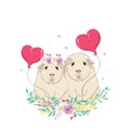 Vector illustration of a two cute Guinea pigs with a balloon, greeting on Valentine`s Day Royalty Free Stock Photo