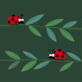 Two cute ladybirds or ladybugs walking on the grass stems