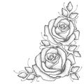 Vector illustration with two dotted rose flower and leaves in black on white background. Floral elements with open rose.