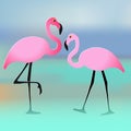 Vector illustration of two flamingos couple pink on the beach multicolor background Royalty Free Stock Photo