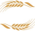 Gold ripe wheat ears frame, border or corner element. Royalty Free Stock Photo