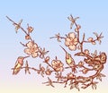 Vector illustration of two hummingbirds sitting on branches blooming cherry tree