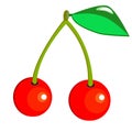 Vector illustration of two red cherries with leaf on white isolated background Royalty Free Stock Photo
