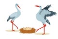 Vector illustration of two storks standing next to a nest with eggs