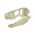 Vector illustration of Tyrannosaurus Rex skull