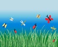 Vector illustration of various cartoon insects in green grass on blue sky background Royalty Free Stock Photo