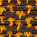 Vector illustration of various fungi Chanterelle.