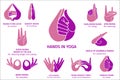 Vector Illustration of various gestures of colorful hands in meditation, on a white background. Hand drawn drawn set of