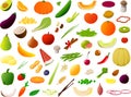 Vector illustration of various kinds of vegetables and fruits