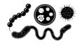Vector illustration of various microscopic bacteria and viruses in black silhouette style Royalty Free Stock Photo