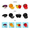 Vector illustration of vegetable and fruit icon. Set of vegetable and vegetarian stock symbol for web. Royalty Free Stock Photo