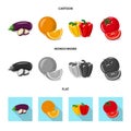 Vector illustration of vegetable and fruit sign. Collection of vegetable and vegetarian vector icon for stock. Royalty Free Stock Photo