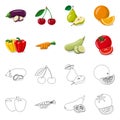 Vector design of vegetable and fruit icon. Collection of vegetable and vegetarian stock vector illustration. Royalty Free Stock Photo