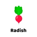 Vector illustration. Vegetable. radish